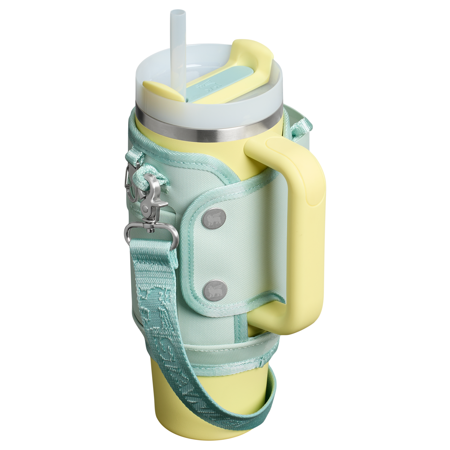 Web_PNG_Square-TheAll-DayQuencherCarry-All30OZ-Mist-HeroBack.png